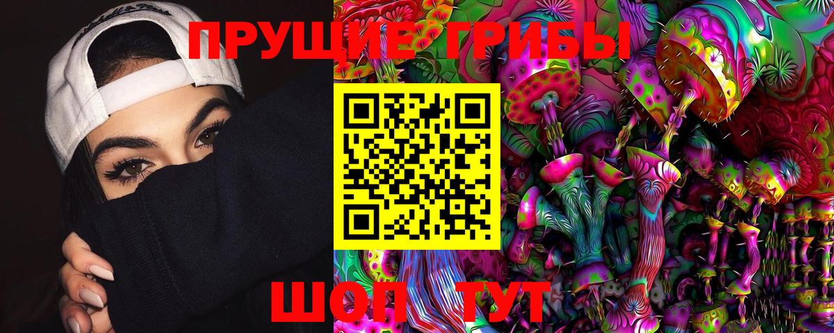 где можно купить наркотик  Псилоцибиновые грибы Magic Shrooms  Вход с VPN  Жигулёвск 