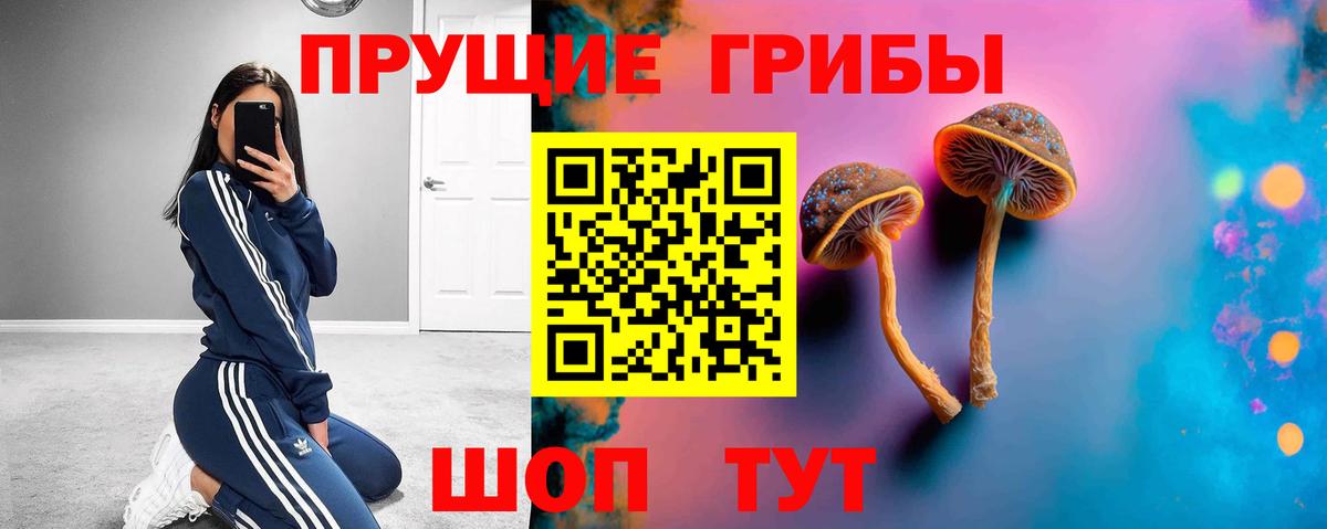 Псилоцибиновые грибы Psilocybe Жигулёвск